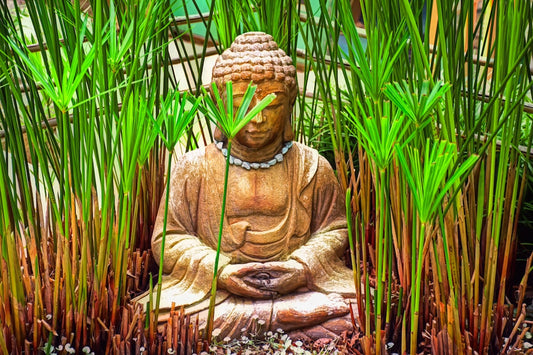 Tinnitus and Meditation: Techniques for Relaxation
