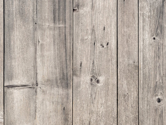 The Impact of Background Noise on TV Watching