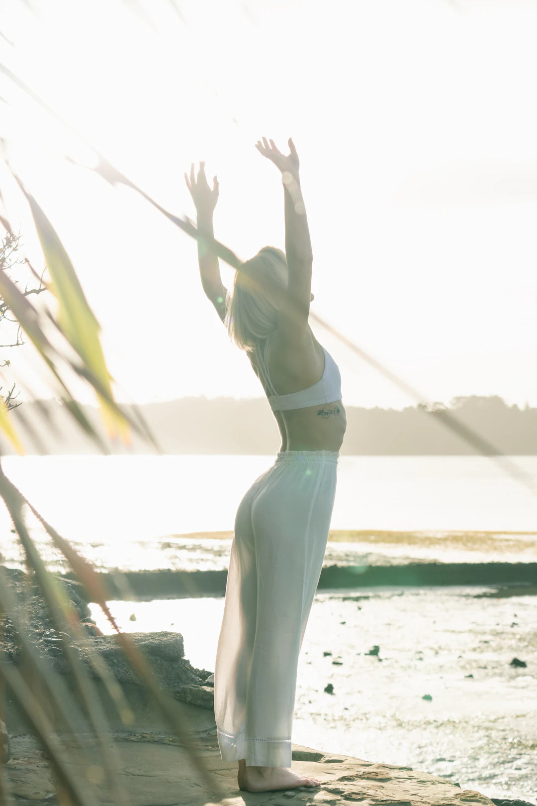 The Intersection of TV and Health Shows that Inspire Wellbeing