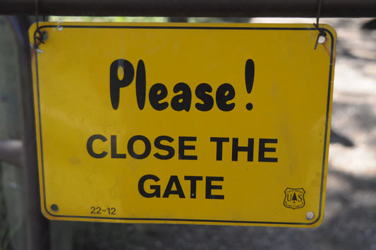Explore Closed Captioning Options for TV and Movies