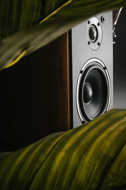ChairSpeaker Systems Enhance TV Audio for Seniors