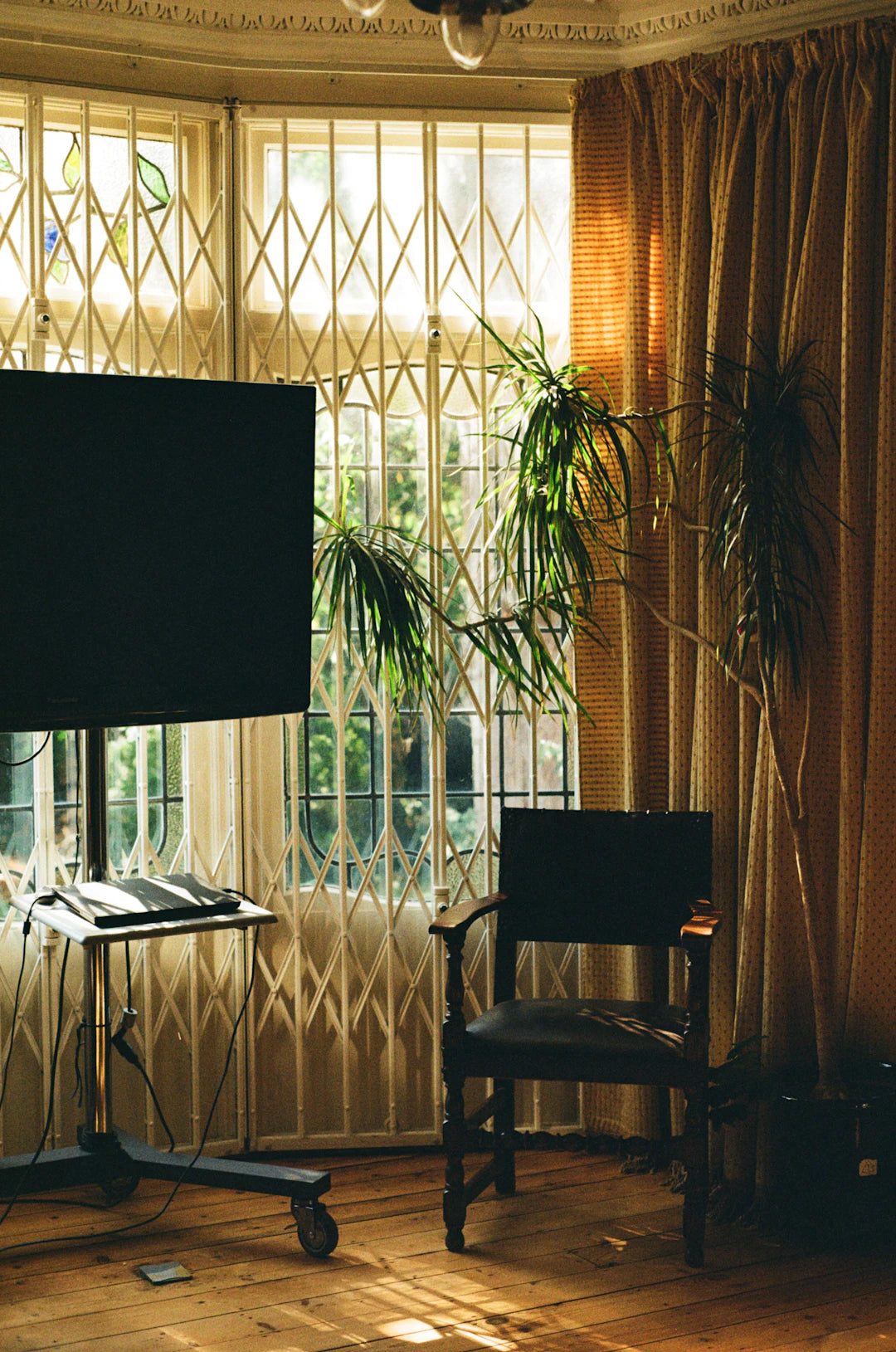 Maximize TV Accessibility A Guide to Easy Setup